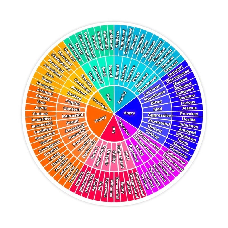Feelings Wheel Emotions Sticker