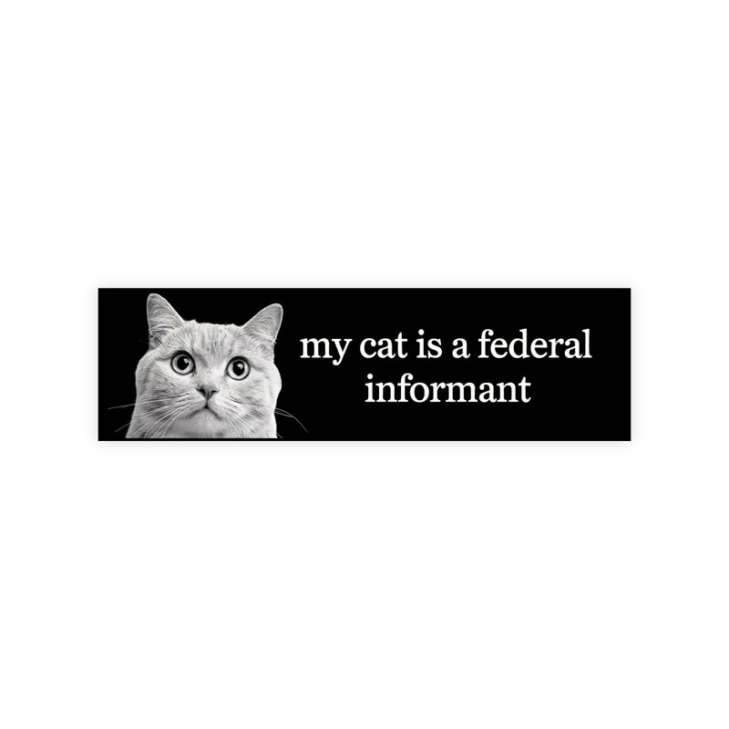 My Cat Is A Federal Informant Bumper Sticker