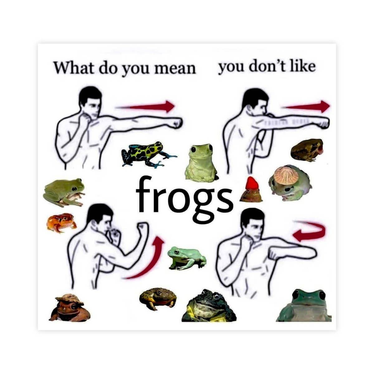 What Do You Mean You Don't Like Frogs Sticker