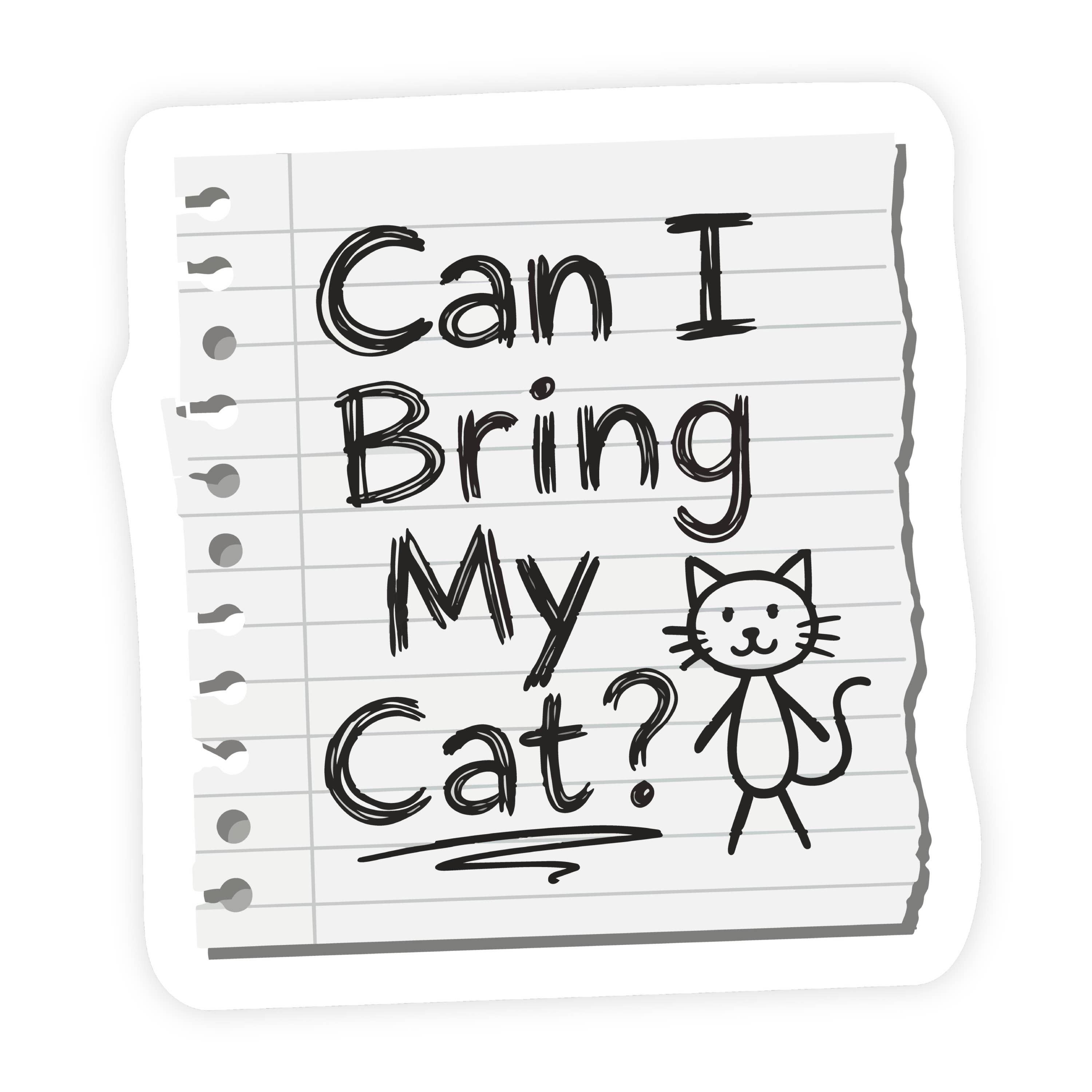 Can I Bring My Cat Notebook Sketch Sticker