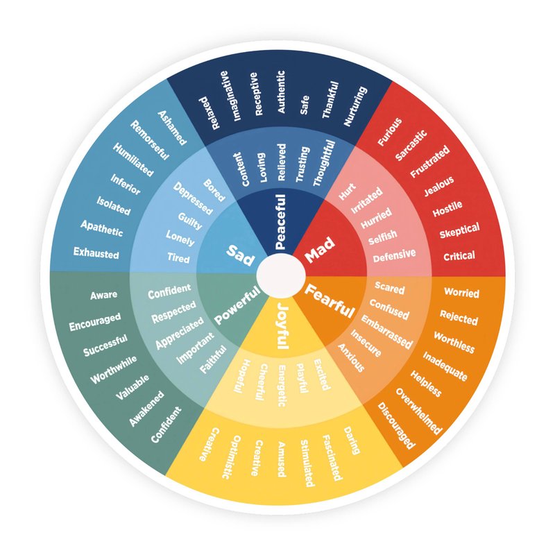 Feelings Wheel Rainbow Emotions Sticker