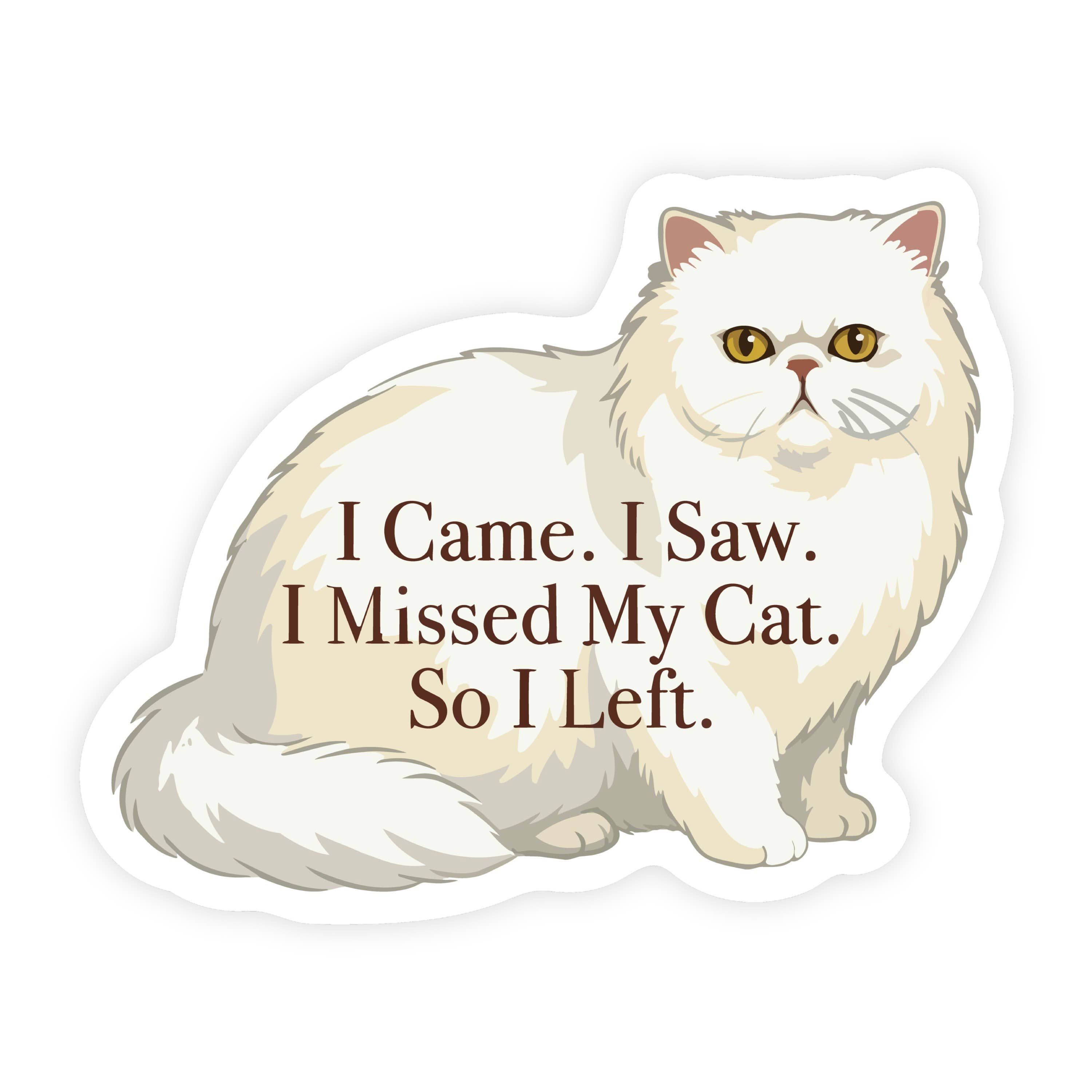 I Came I Saw I Missed My Cat I Left Cat Sticker